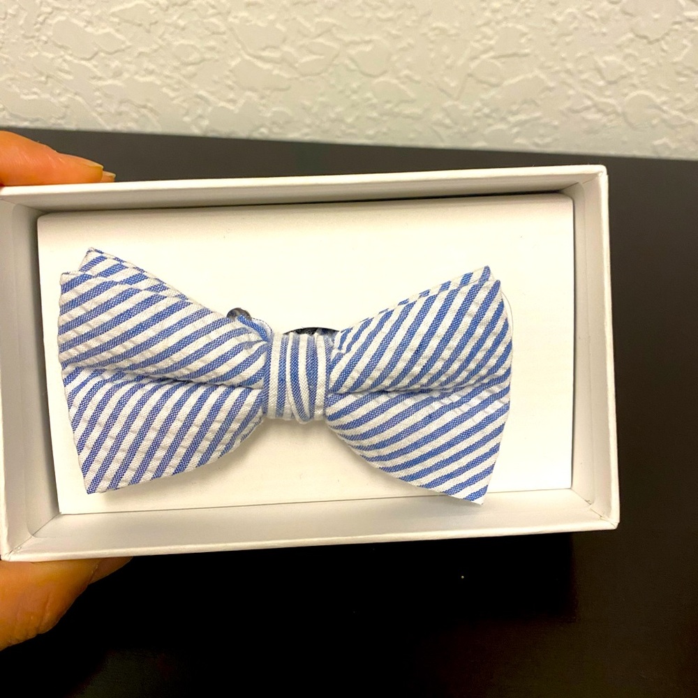 Alan Flusser stripped bow tie for men or juniors